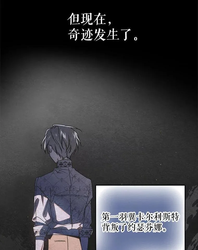 114.影失其踪 第26页