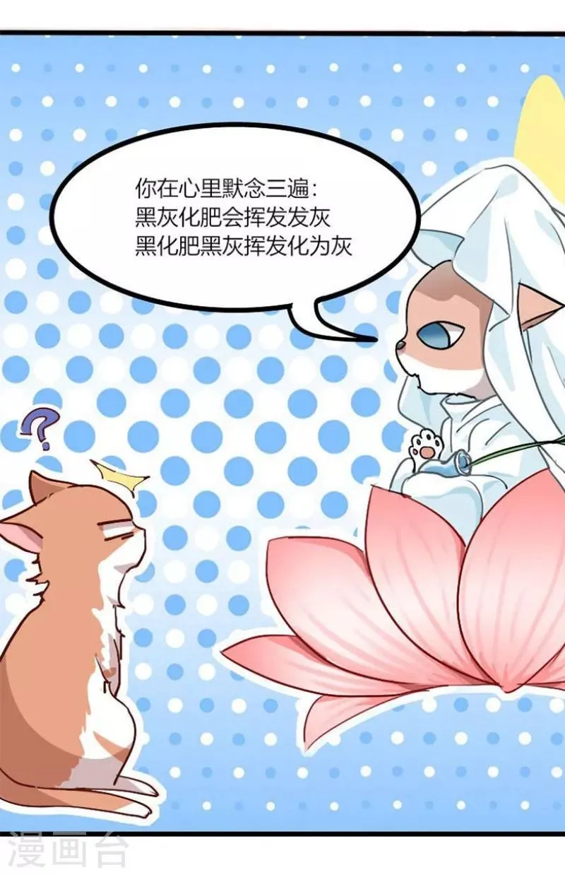 第57话 同情你而已 第14页