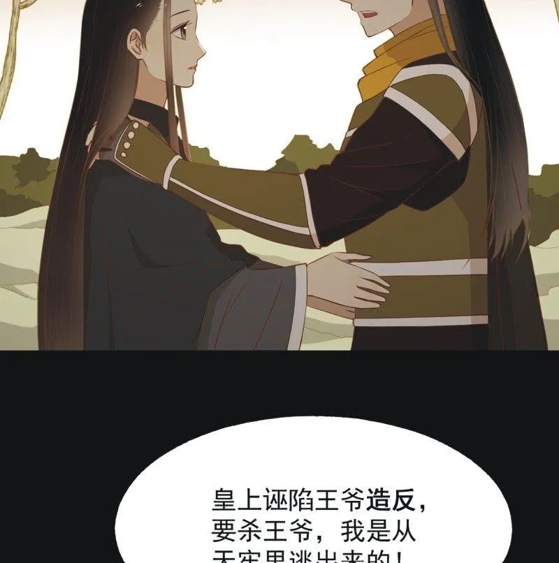 【五十五】回京 第11页