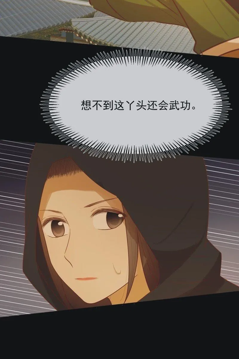 【六十八】黑衣人 第22页