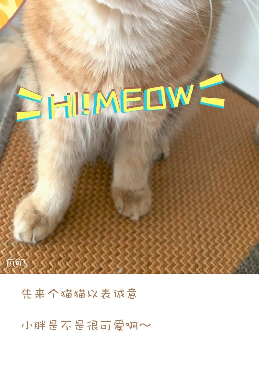 041 我要爽约了 第58页