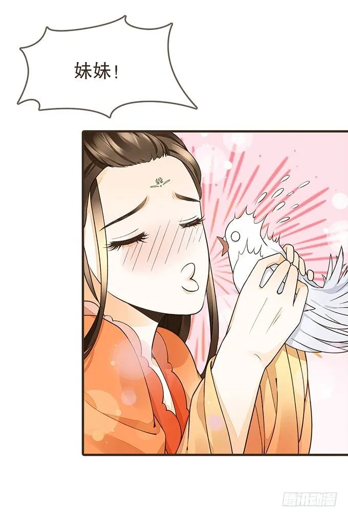 飞鸽传书 第11页