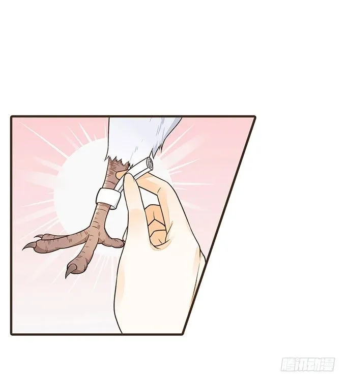 飞鸽传书 第12页