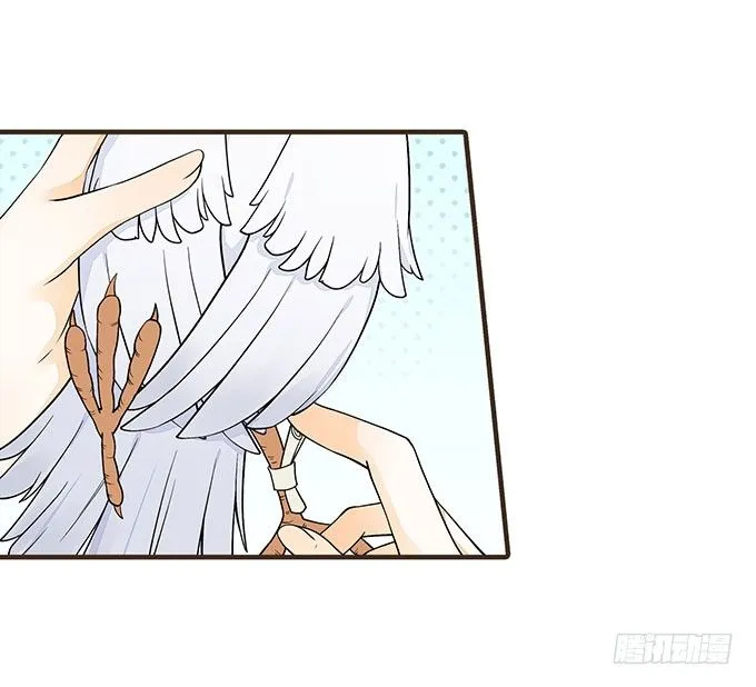 飞鸽传书 第23页