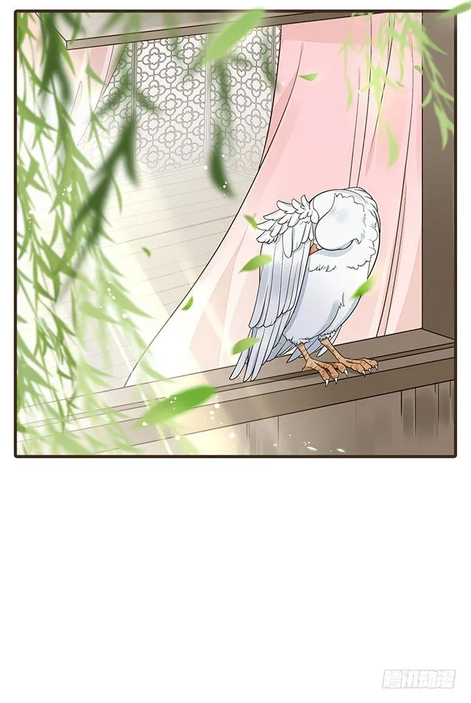 哥哥大人调教日记 第15页
