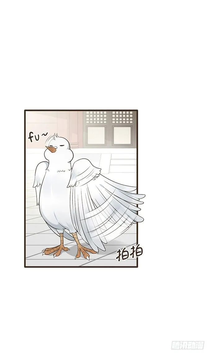 哥哥大人调教日记 第42页