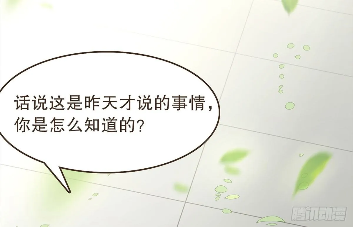 蛮王的借口 第12页
