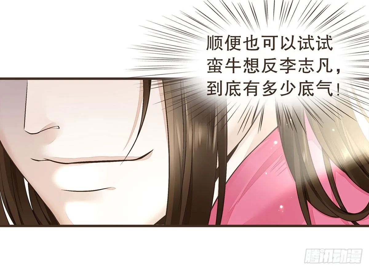 柳乘风的反击 第8页