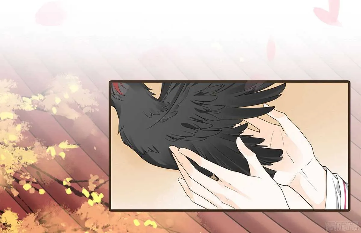 行刺柳乘风 第3页