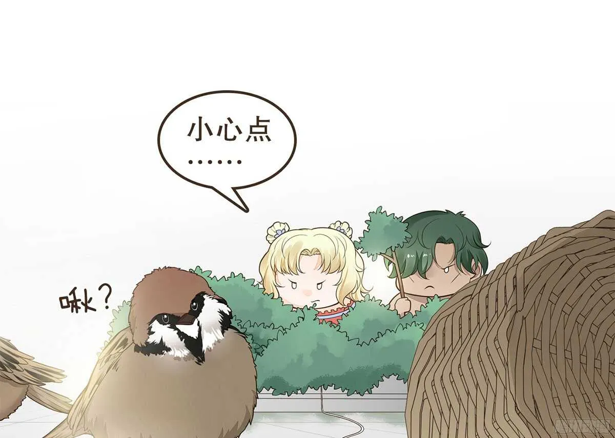 温柔的计划 第65页