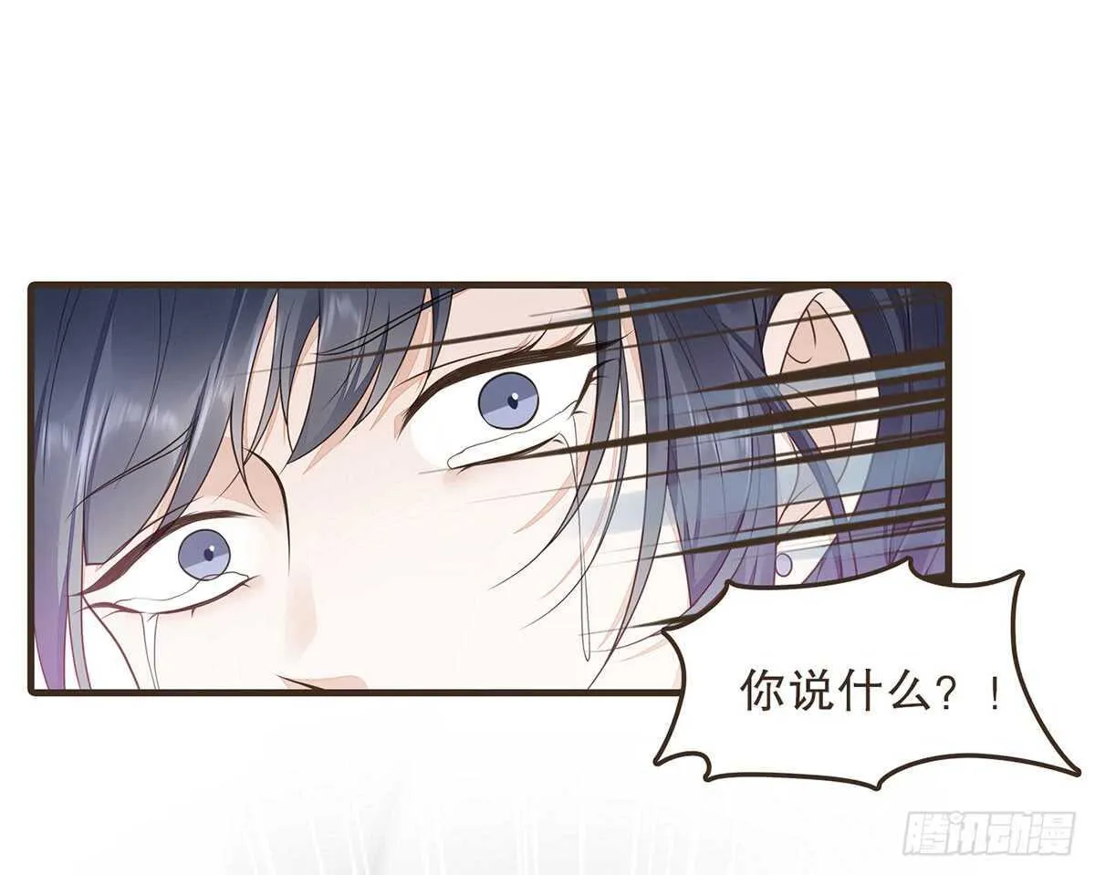 诸葛军师 第12页