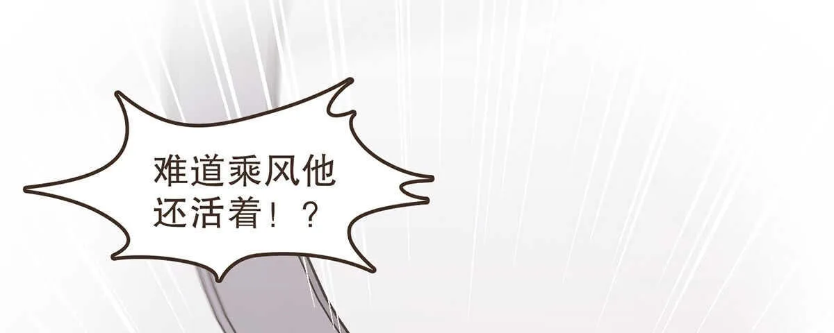诸葛军师 第13页