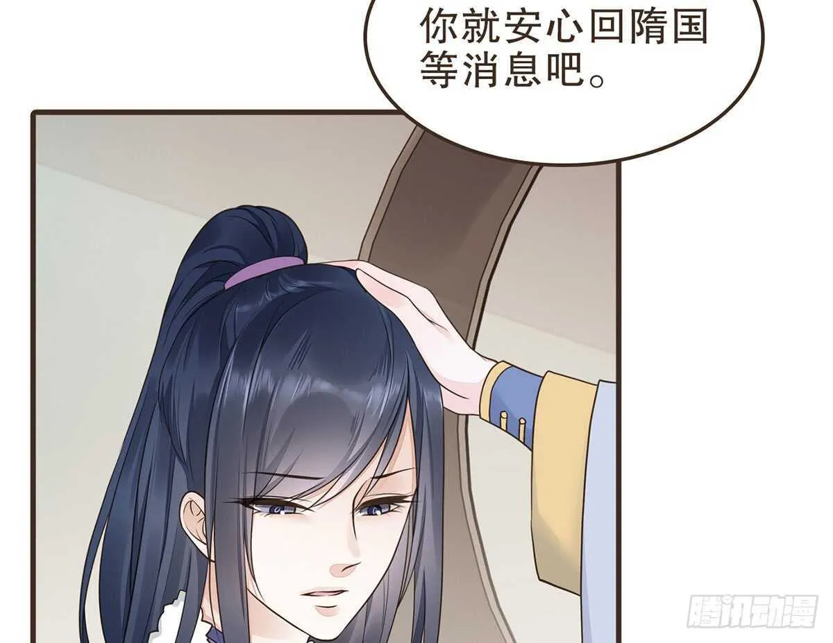 诸葛军师 第43页