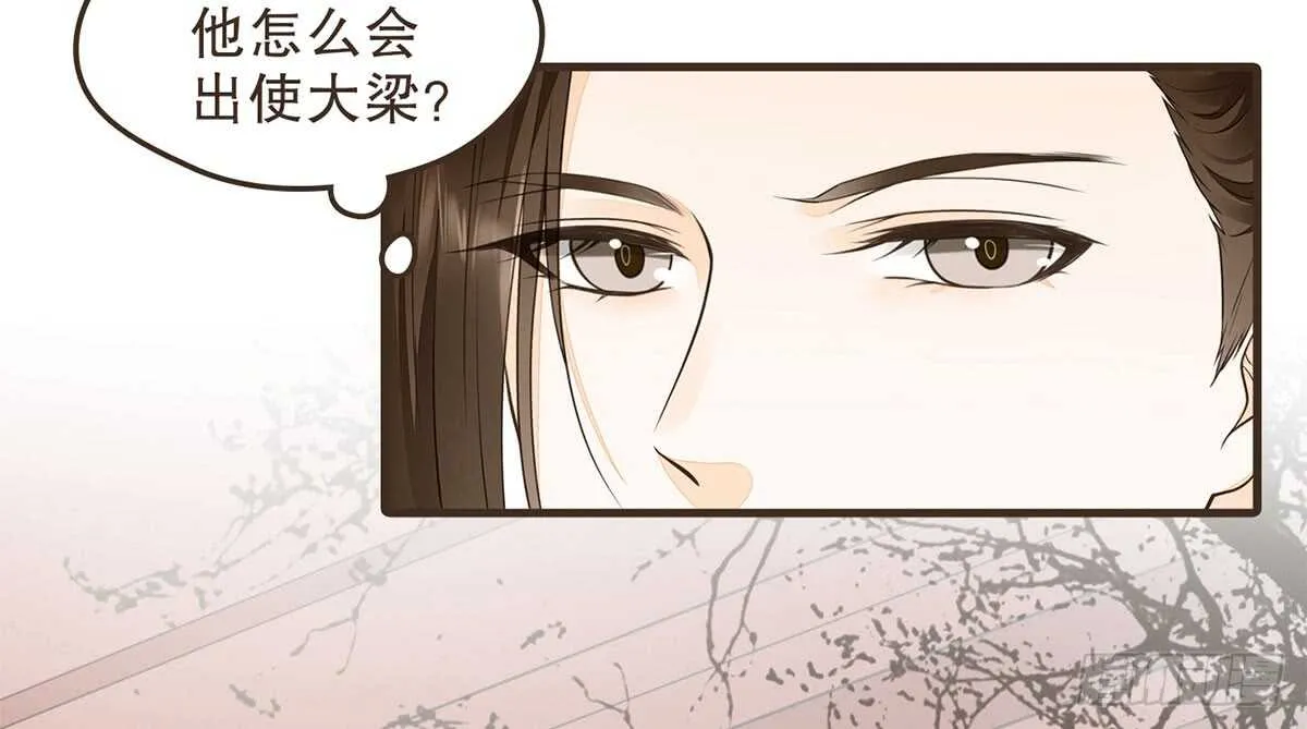 柳乘风的担忧 第17页