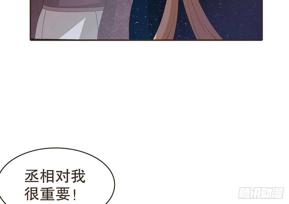 丞相很重要 第43页