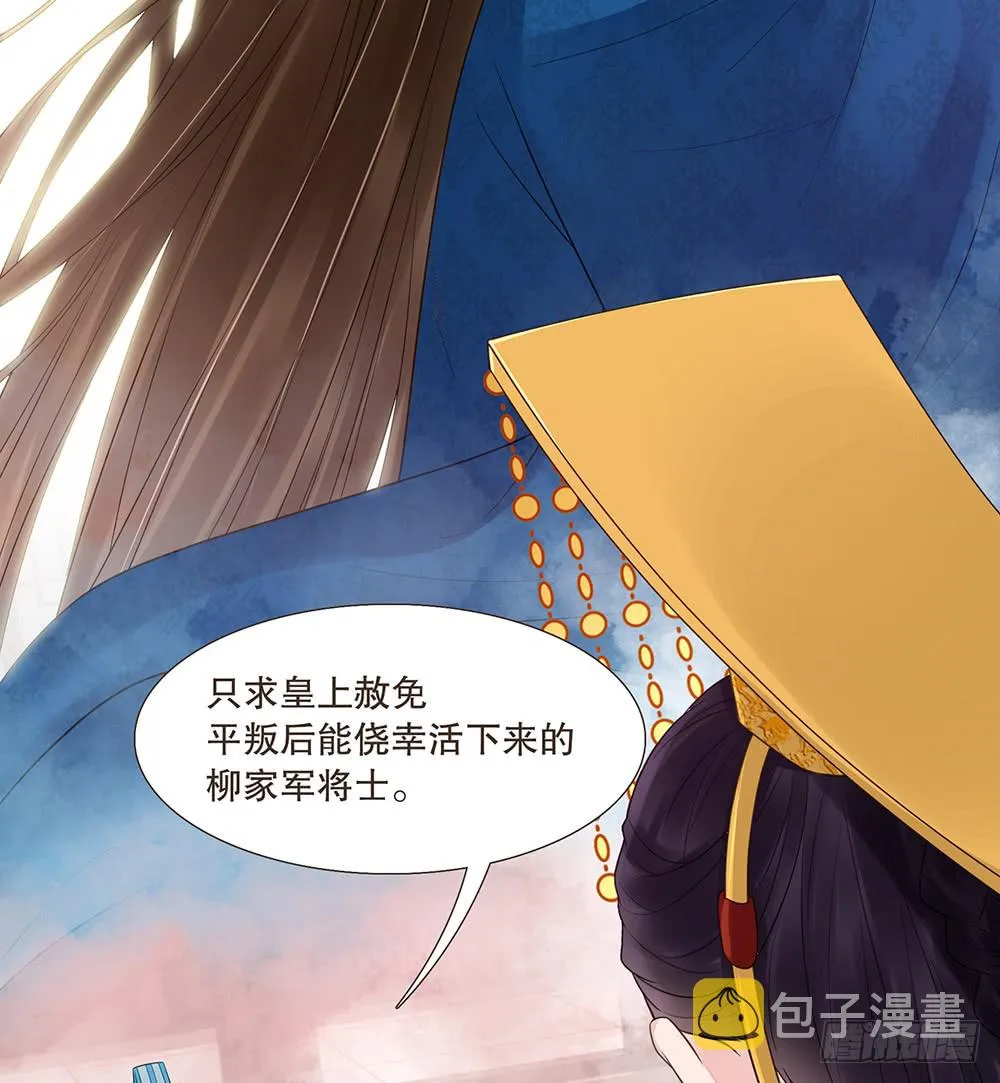担保 第29页