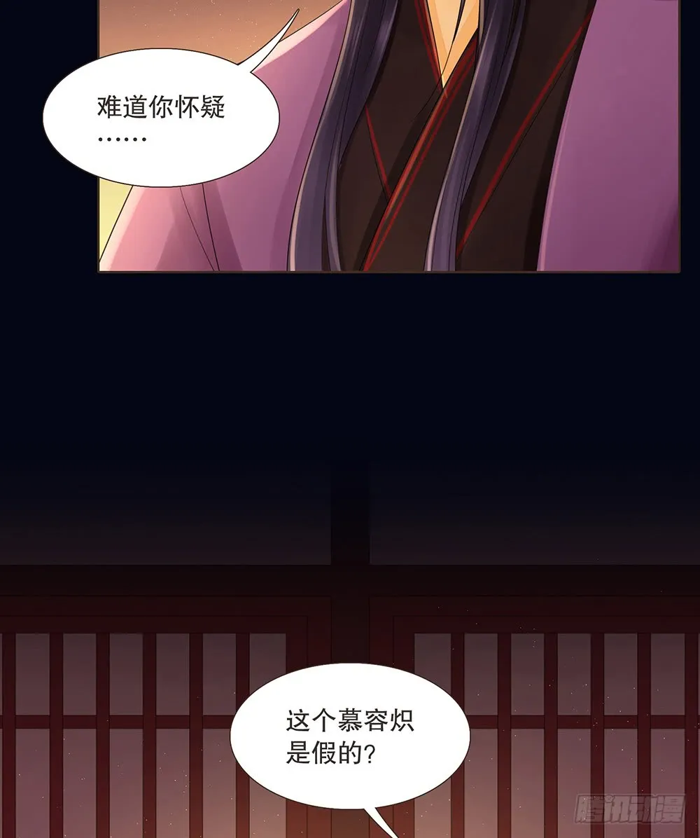 假相 第11页