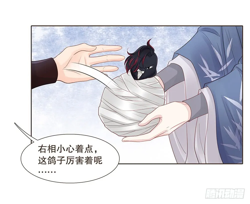信 第85页