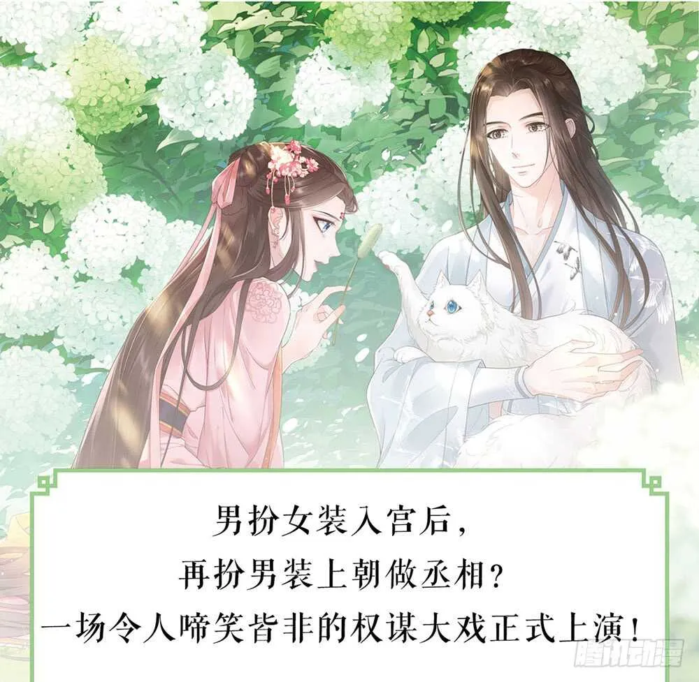 集结鼓令 第81页