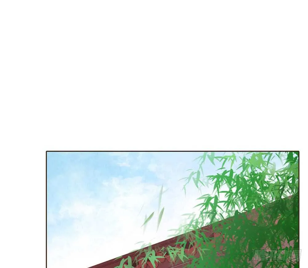 西北军 第4页