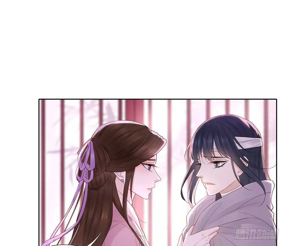 西北军 第24页