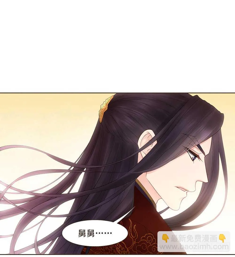 西北军 第41页