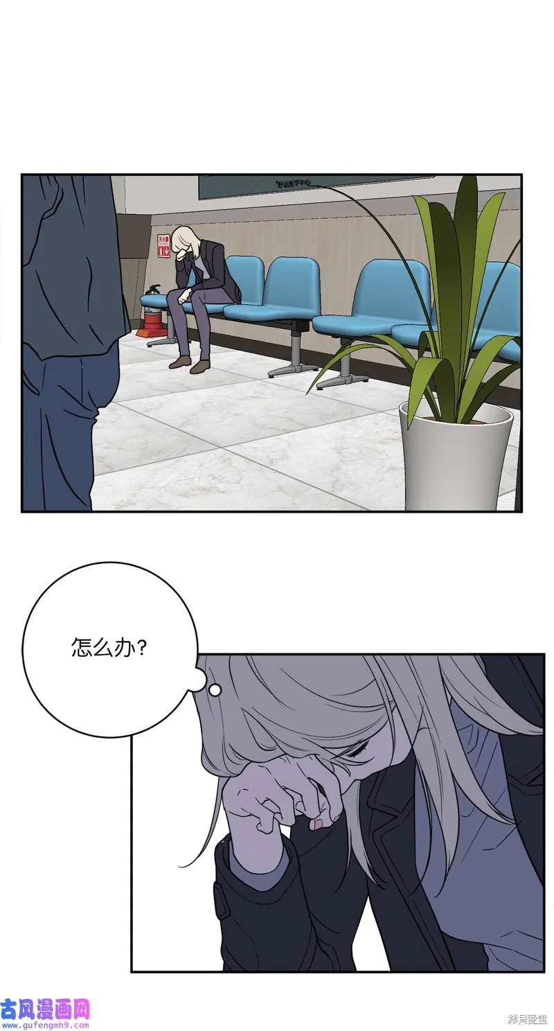 第50话 第56页