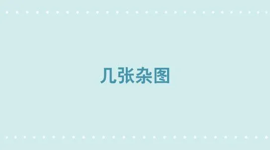几张杂图 第1页