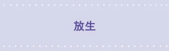 53 放生 第1页