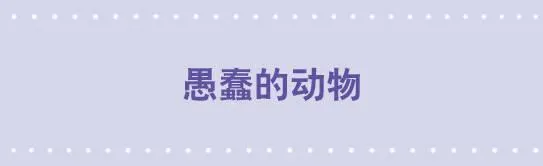 54 愚蠢的动物 第1页