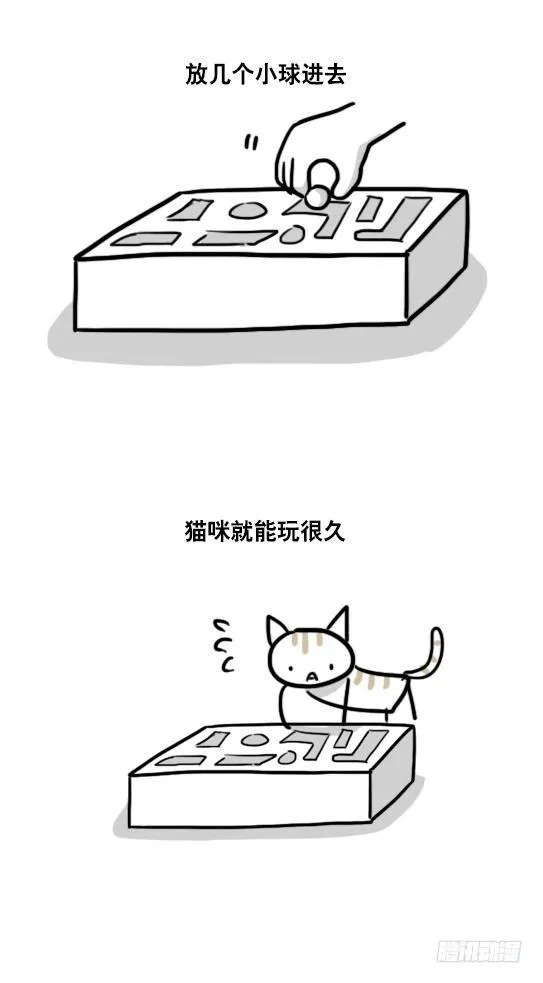 54 愚蠢的动物 第3页