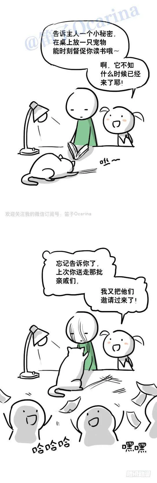 69 两种软件 第15页