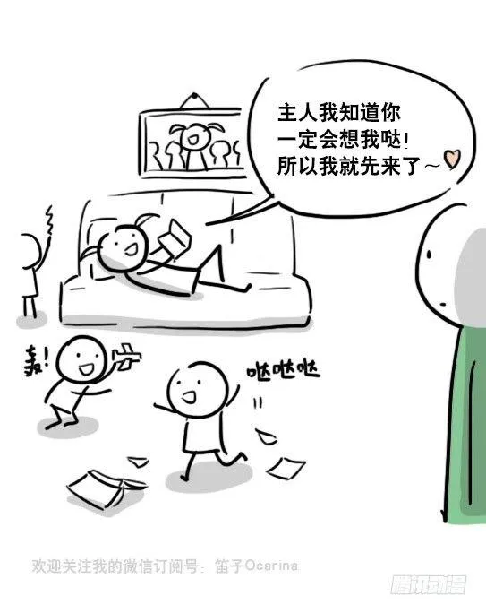 69 两种软件 第19页