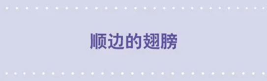 89 顺边的翅膀 第1页