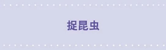 108 捉昆虫 第1页