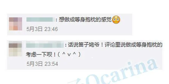 134 抱枕 第3页
