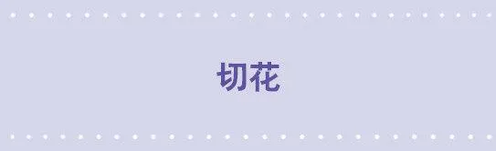 137 切花 第1页