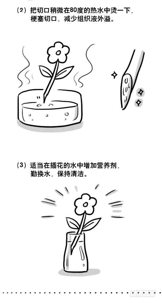 137 切花 第3页