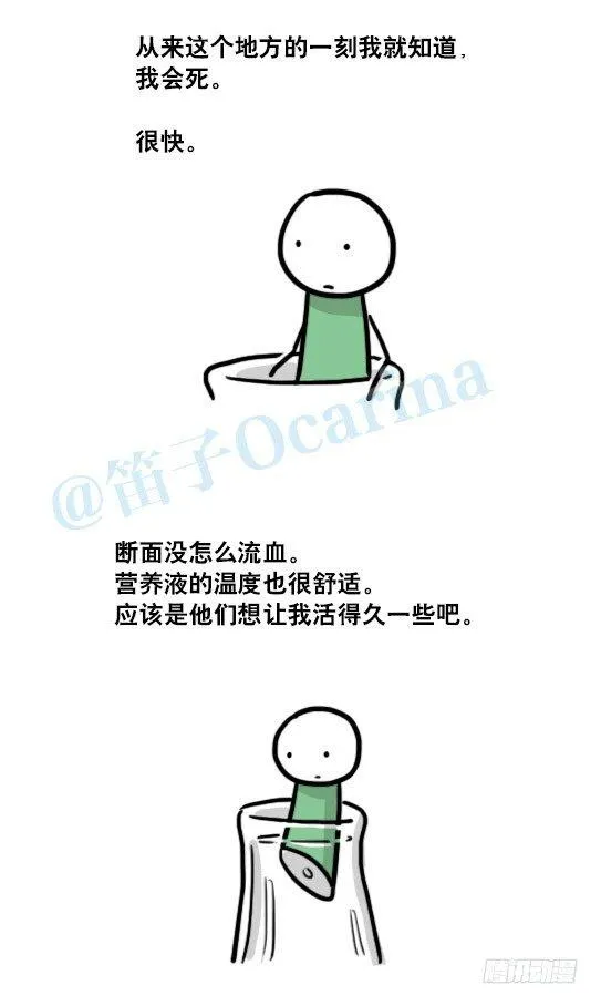 137 切花 第4页