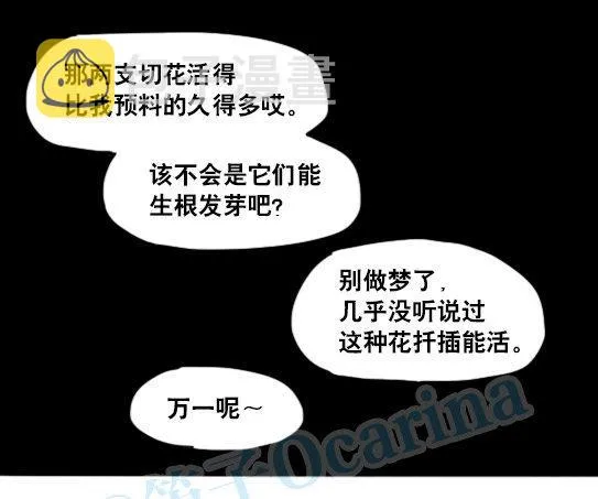 137 切花 第19页