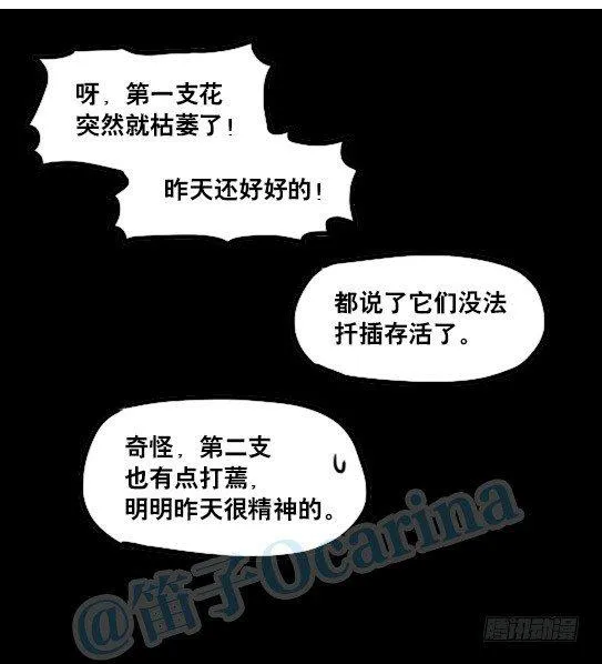 137 切花 第25页