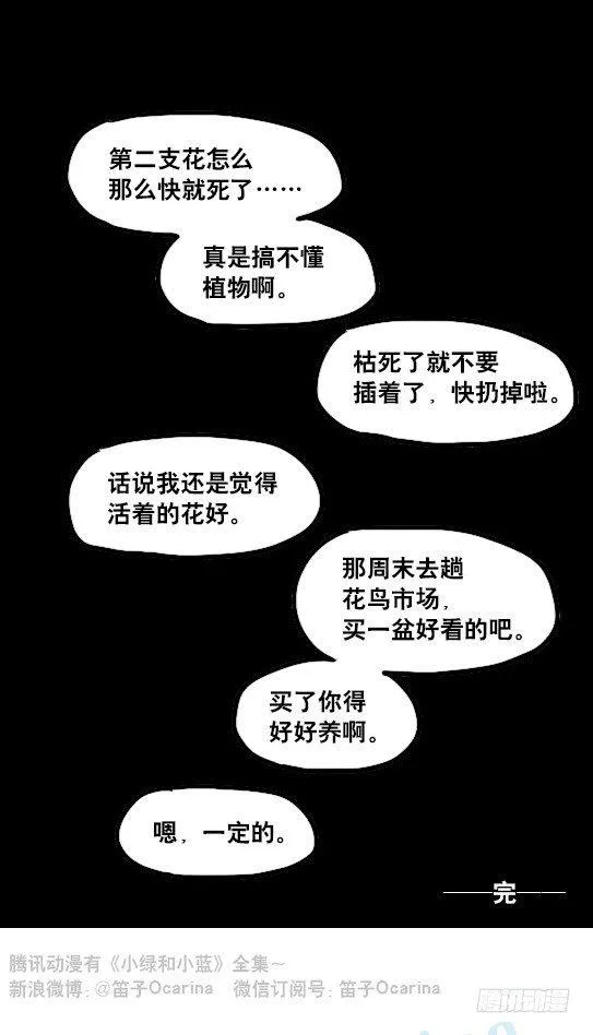 137 切花 第26页