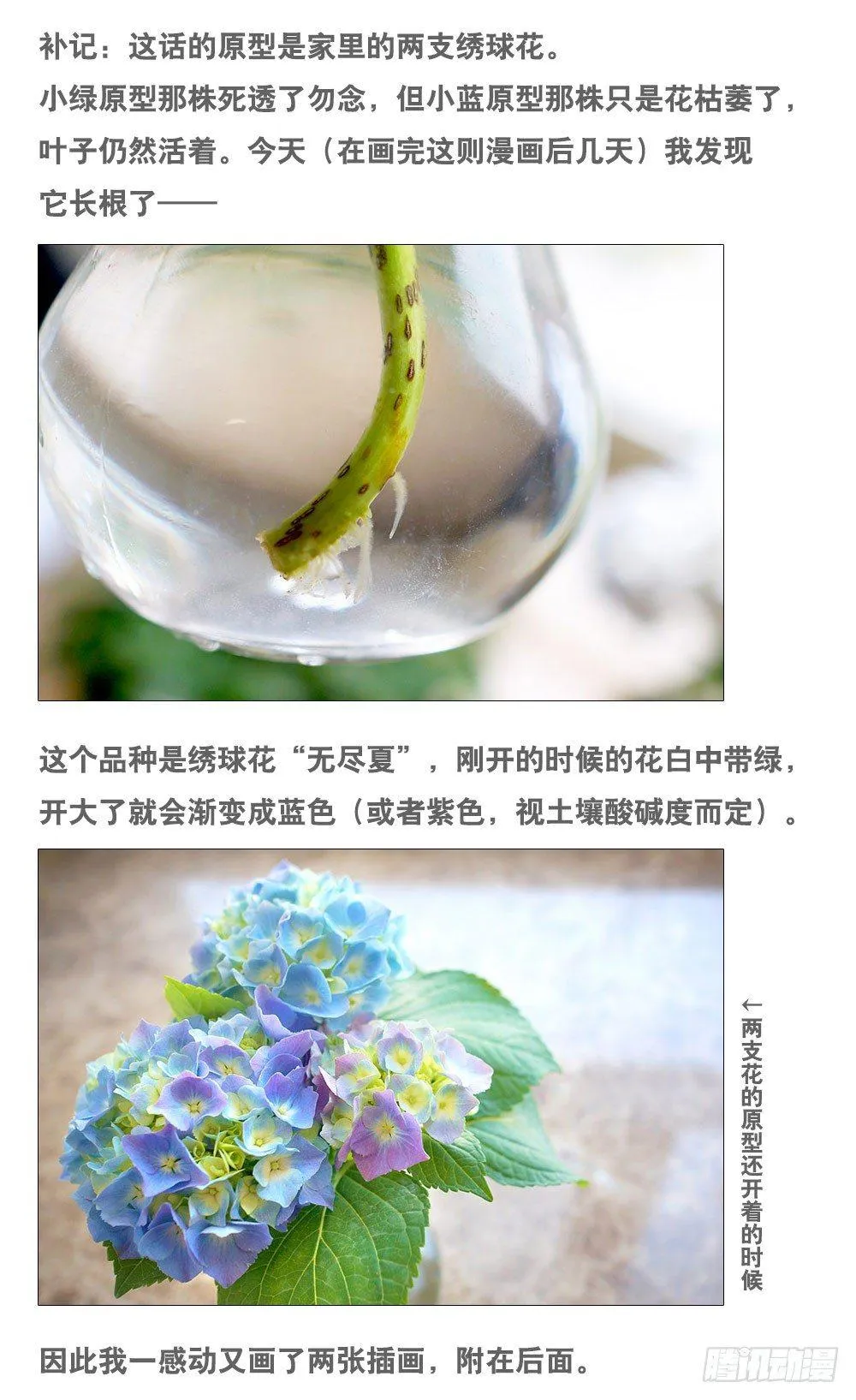 137 切花 第27页