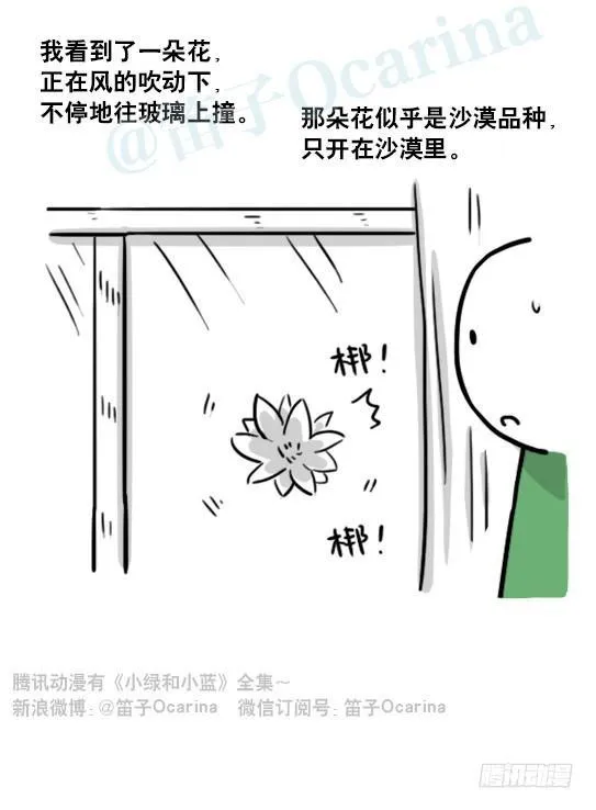 173 驭风者 第31页