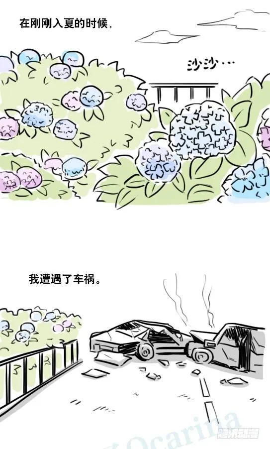 181 无尽之夏 第2页