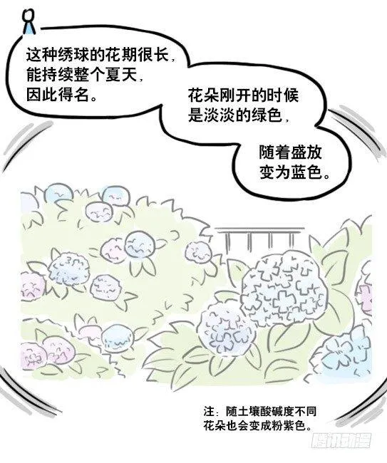 181 无尽之夏 第65页