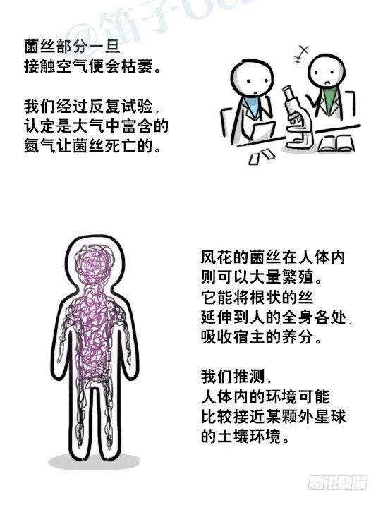 197 花吐症 第27页