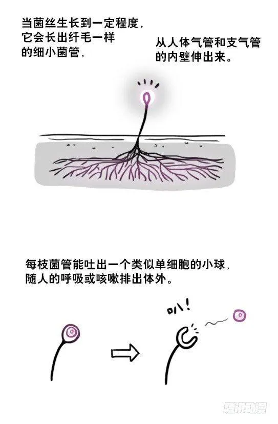 197 花吐症 第28页