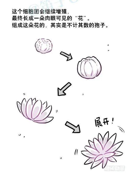 197 花吐症 第30页