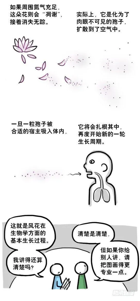 197 花吐症 第31页